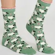 Painterly Floral Set of 3 Boxed Socks